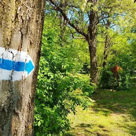 Kincsesbánya Kincsesbanya