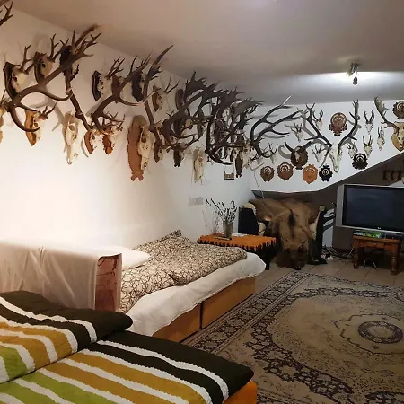 Kincsesbánya Bed and breakfast *