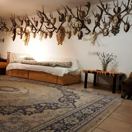 Kincsesbánya Bed and breakfast