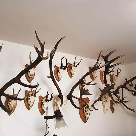 Bed and Breakfast Kincsesbanya Kincsesbanya