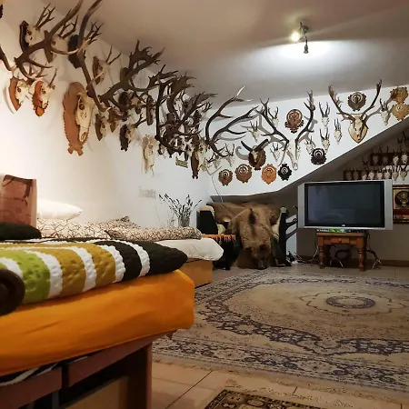 Bed and Breakfast Kincsesbanya 3*